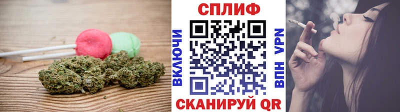 закладки  Протвино  гидра сайт  Cannafood марихуана 