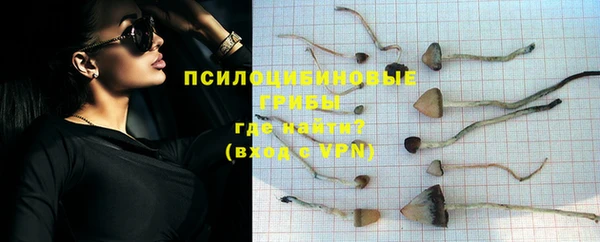 ешки Аркадак
