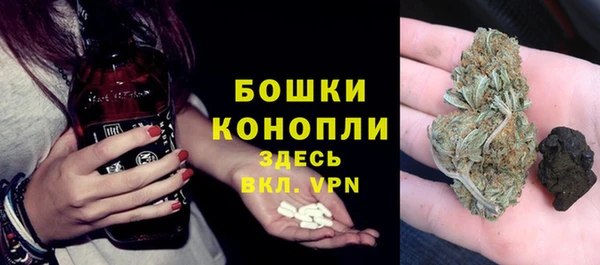 индика Арсеньев