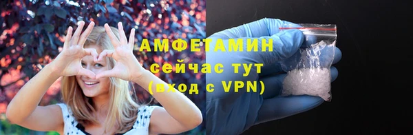 ешки Аркадак