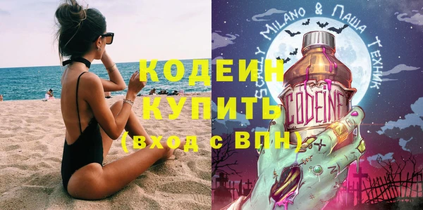 индика Арсеньев