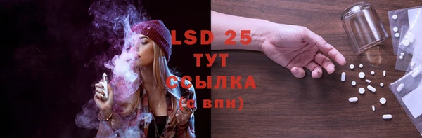 индика Арсеньев