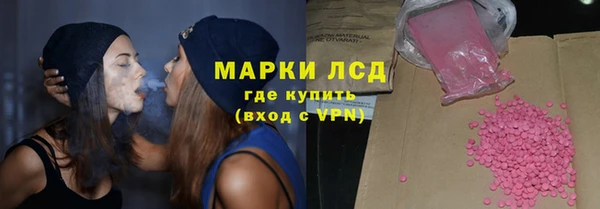 индика Арсеньев