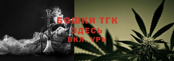 ешки Аркадак