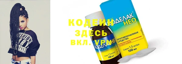 индика Арсеньев
