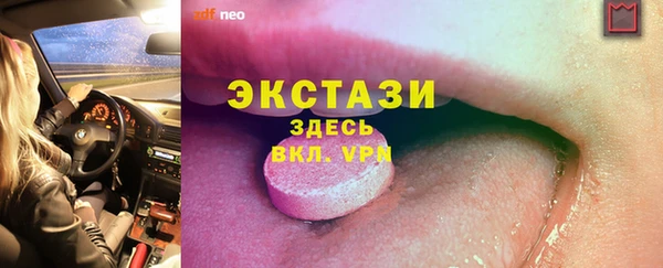 индика Арсеньев