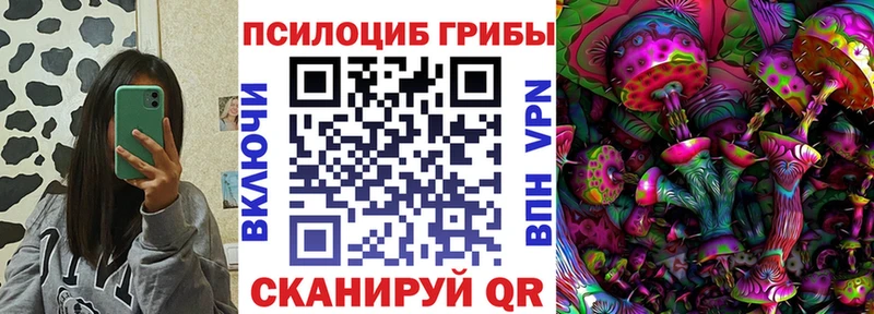 Галлюциногенные грибы Psilocybine cubensis  купить закладку  Протвино 