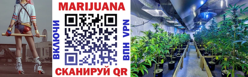 Бошки Шишки индика  закладка  mega как зайти  Протвино 